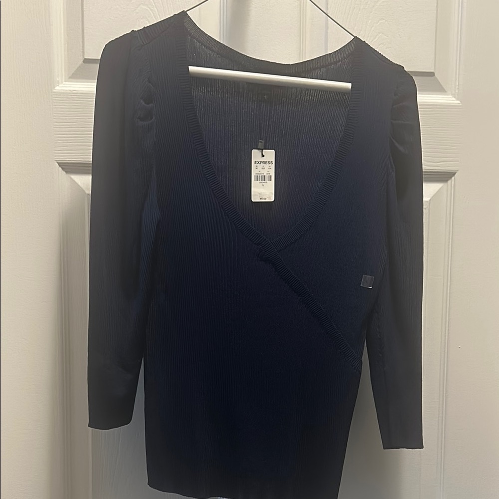 Express Navy V-Neck Sweater